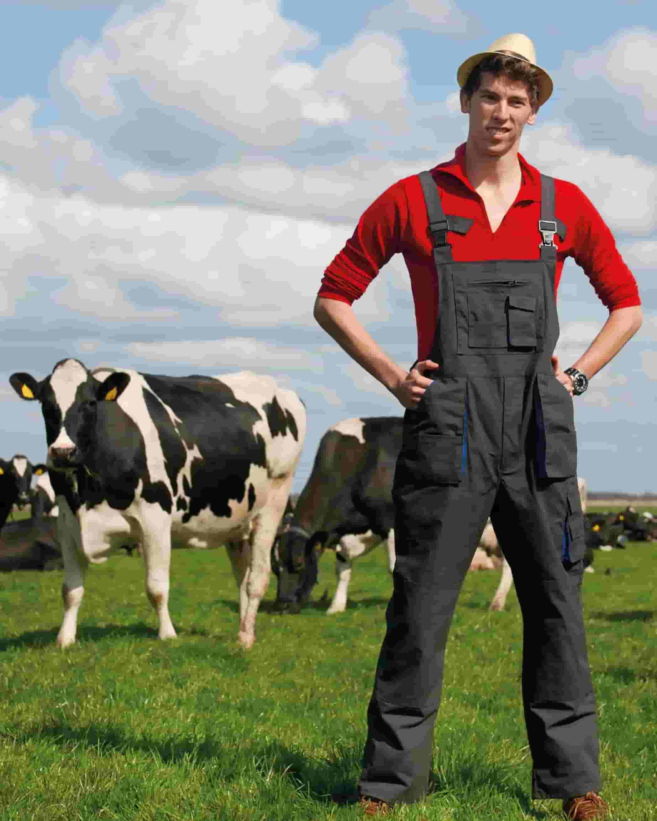 A farmer standing in a field in front of a couple of cows.