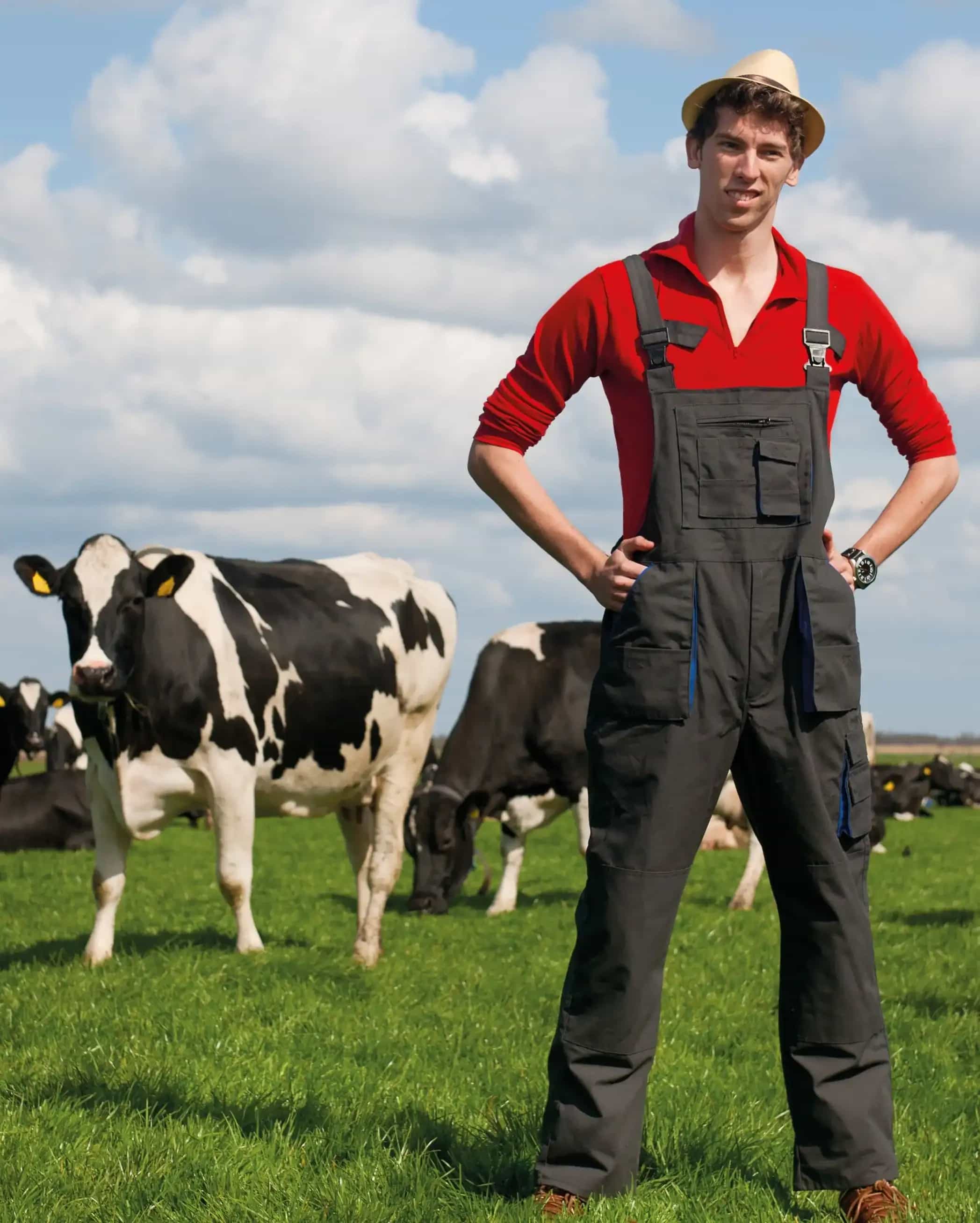 A farmer standing in a field in front of a couple of cows.